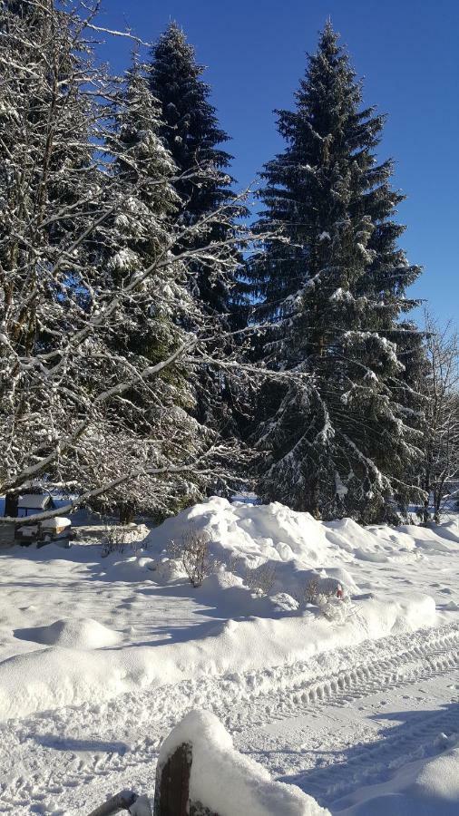 Wanderhütte und Ferienhaus Zum Bernhardsthal Exterior foto